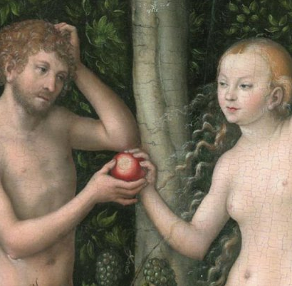 just-fruit-e1527363441100