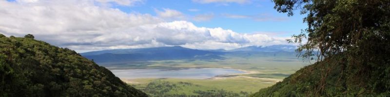 Ngorongoro