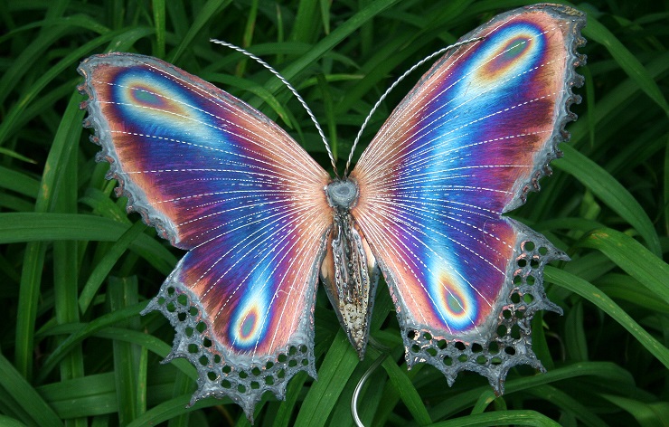 purple-butterfly